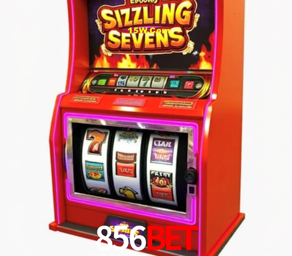 Experiência VIP 856Bet