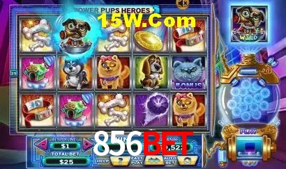 856Bet Brasília - Betting Features