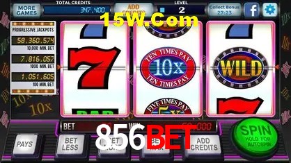 856Bet - Winners Celebration