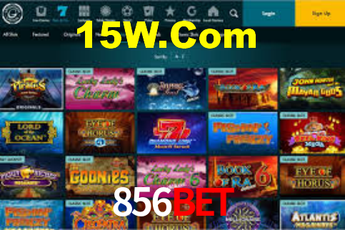 856Bet: A Experiência de Casino com Jogos de Mesa ao Vivo