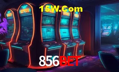 856Bet - User Statistics