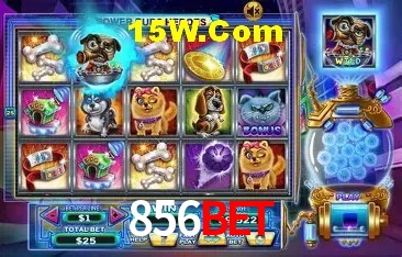 856Bet Rio de Janeiro - Slot Strategy