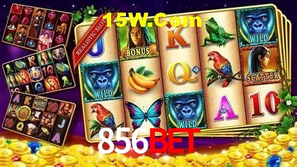 856Bet São Paulo - Top Slots